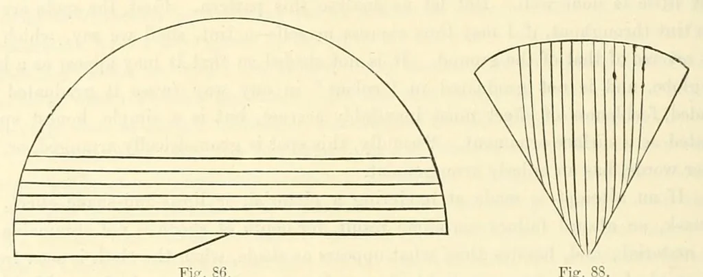 An illustration from Principles of decorative design, 1873, leaf 126