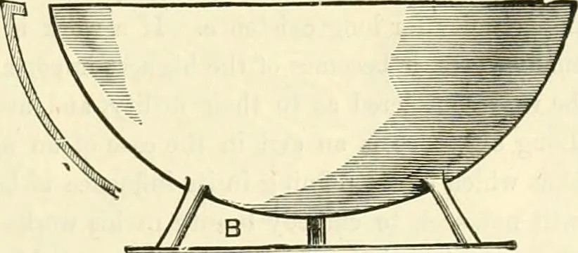 An illustration from Principles of decorative design, 1873, leaf 150