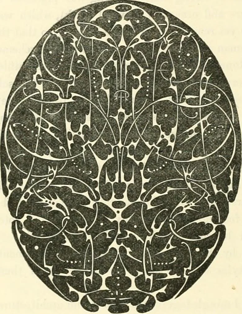 An illustration from Principles of decorative design, 1873, leaf 27