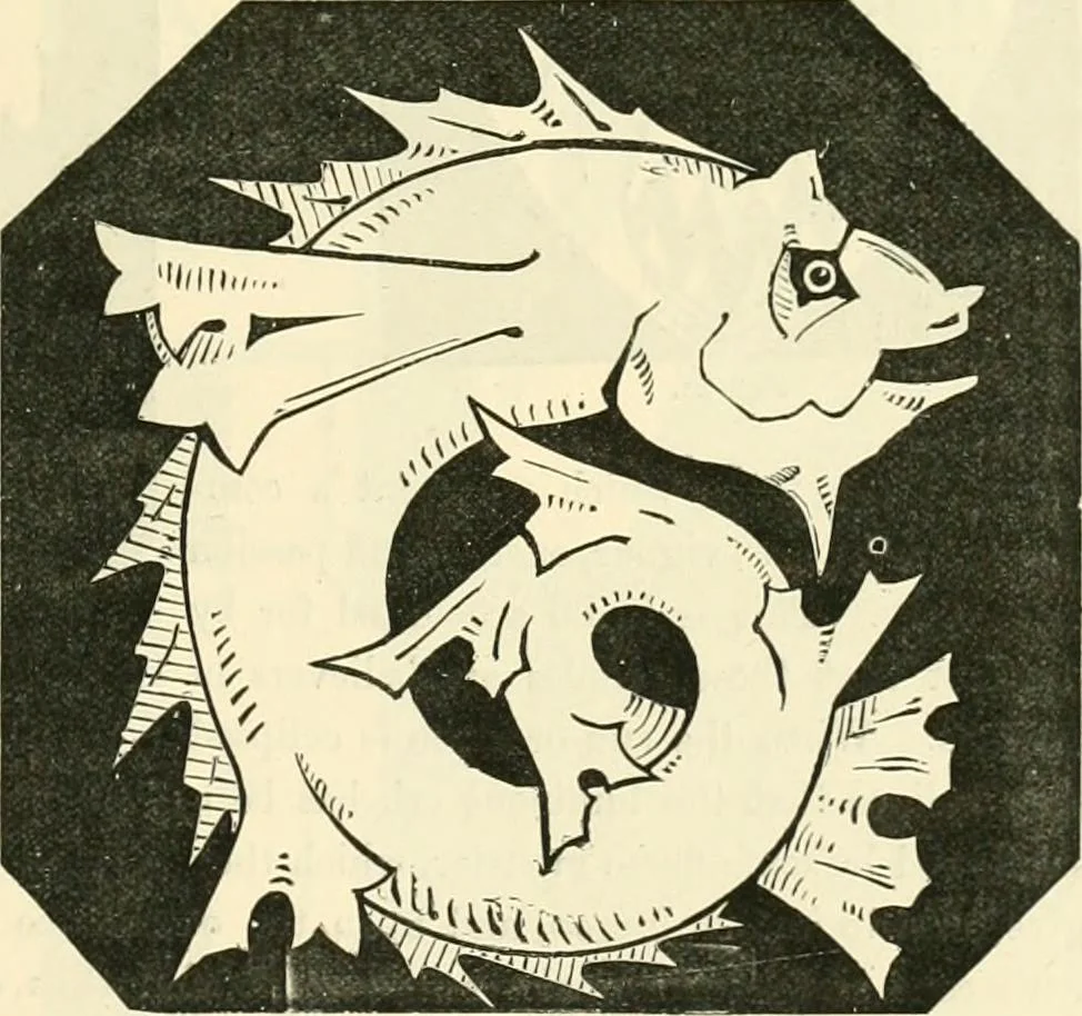 An illustration from Principles of decorative design, 1873, leaf 40