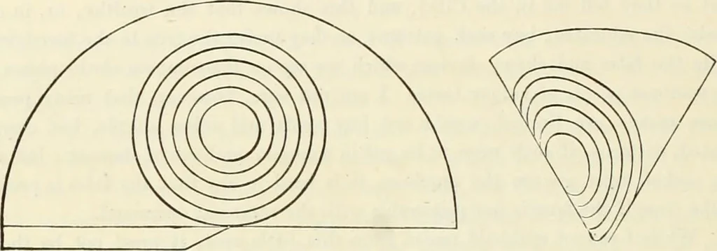 An illustration from Principles of decorative design, 1870, leaf 123