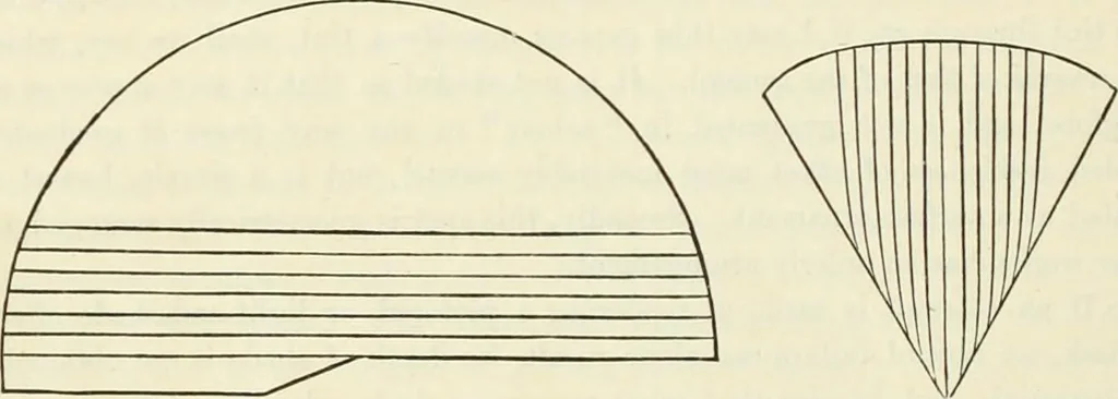 An illustration from Principles of decorative design, 1870, leaf 123