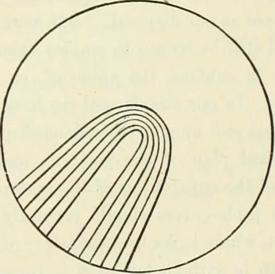 An illustration from Principles of decorative design, 1870, leaf 123