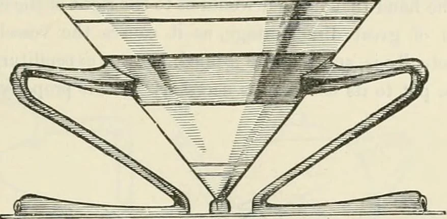 An illustration from Principles of decorative design, 1870, leaf 152