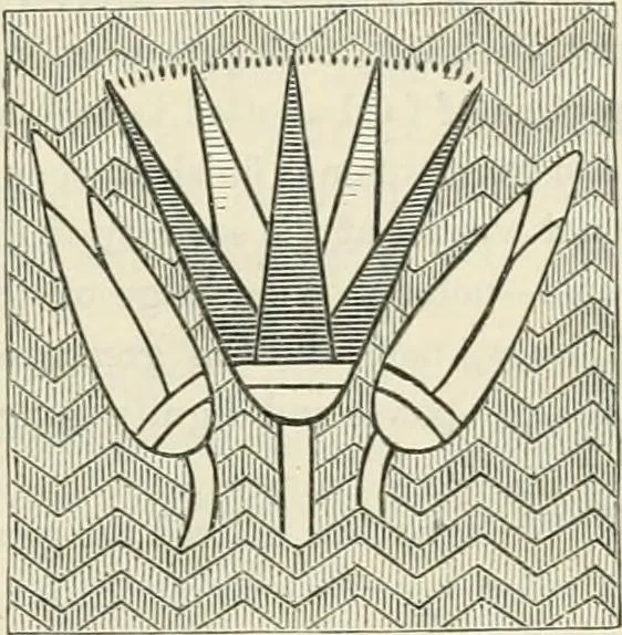 An illustration from Principles of decorative design, 1870, leaf 16