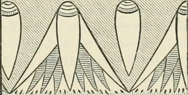 An illustration from Principles of decorative design, 1870, leaf 16