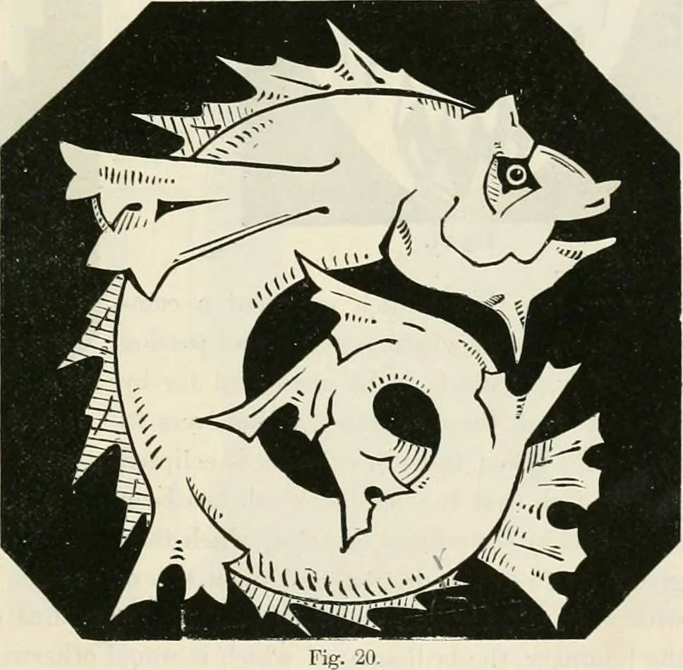 An illustration from Principles of decorative design, 1870, leaf 38