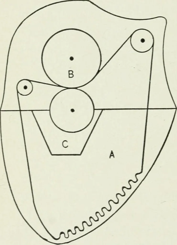 An illustration from Principles of dyeing, 1921, leaf 141