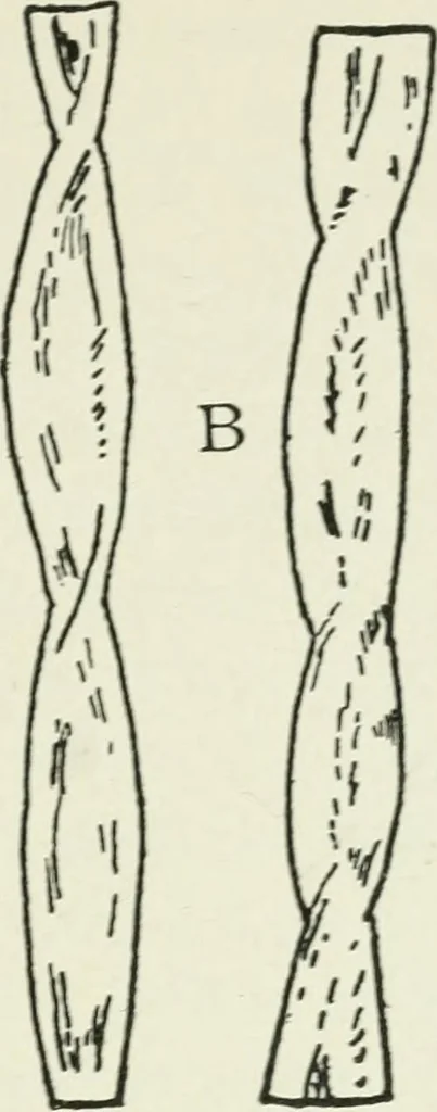 An illustration from Principles of dyeing, 1921, leaf 74