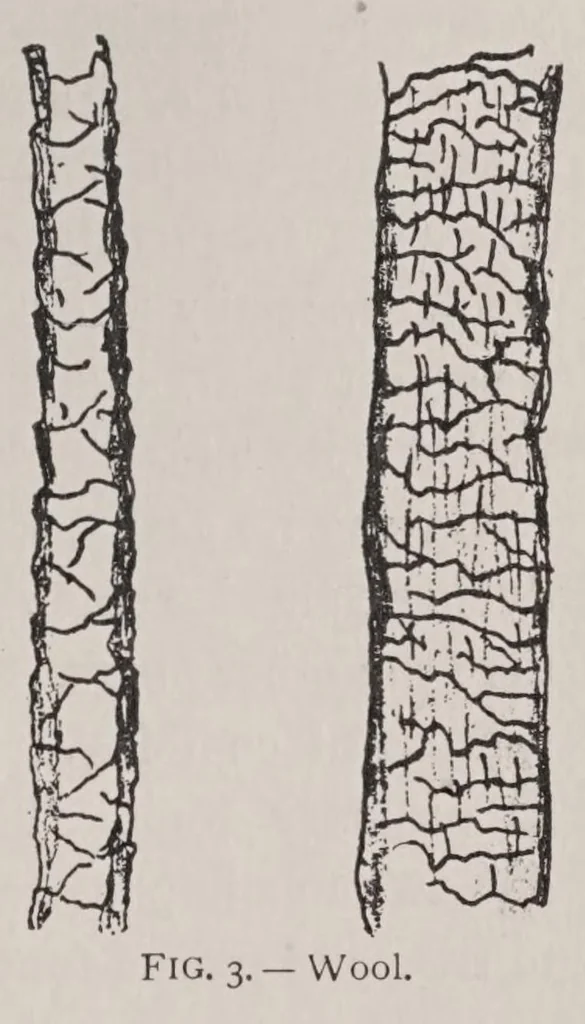 An illustration from Principles of dyeing, 1916, leaf 97