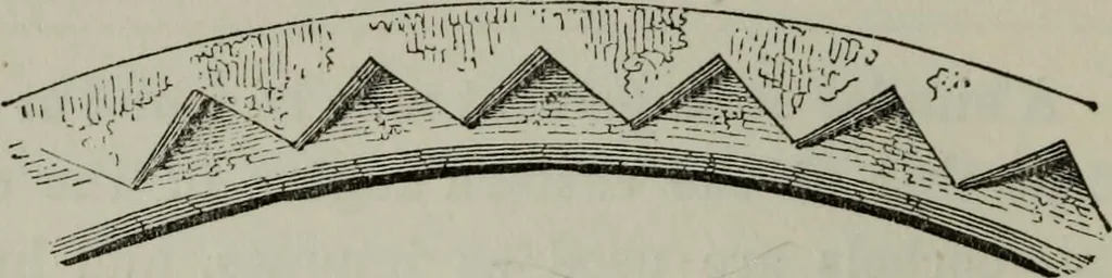 An illustration from The principles of Gothic ecclesiastical architecture : with an explanation of technical terms and a centenary of ancient terms ..., 1882, leaf 147
