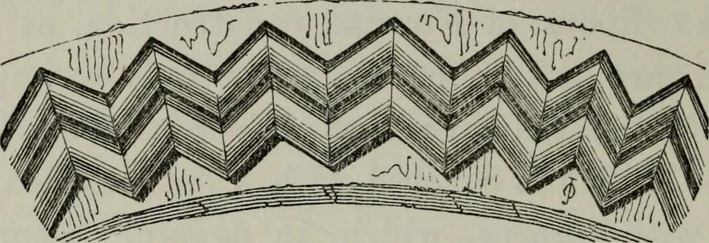 An illustration from The principles of Gothic ecclesiastical architecture : with an explanation of technical terms and a centenary of ancient terms ..., 1882, leaf 147