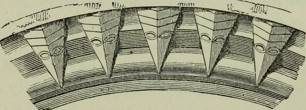An illustration from The principles of Gothic ecclesiastical architecture : with an explanation of technical terms and a centenary of ancient terms ..., 1882, leaf 148