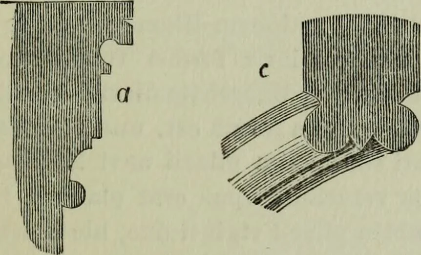 An illustration from The principles of Gothic ecclesiastical architecture : with an explanation of technical terms and a centenary of ancient terms ..., 1882, leaf 172