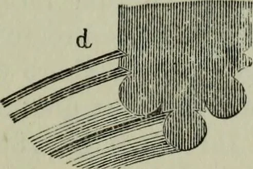 An illustration from The principles of Gothic ecclesiastical architecture : with an explanation of technical terms and a centenary of ancient terms ..., 1882, leaf 172