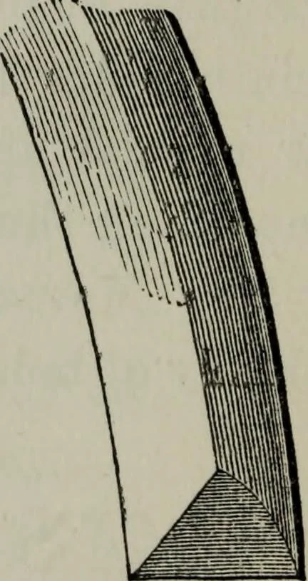 An illustration from The principles of Gothic ecclesiastical architecture : with an explanation of technical terms and a centenary of ancient terms ..., 1882, leaf 193