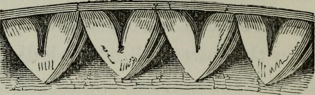 An illustration from The principles of Gothic ecclesiastical architecture : with an explanation of technical terms and a centenary of ancient terms ..., 1882, leaf 203