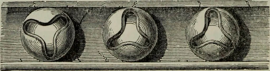 An illustration from The principles of Gothic ecclesiastical architecture : with an explanation of technical terms and a centenary of ancient terms ..., 1882, leaf 241