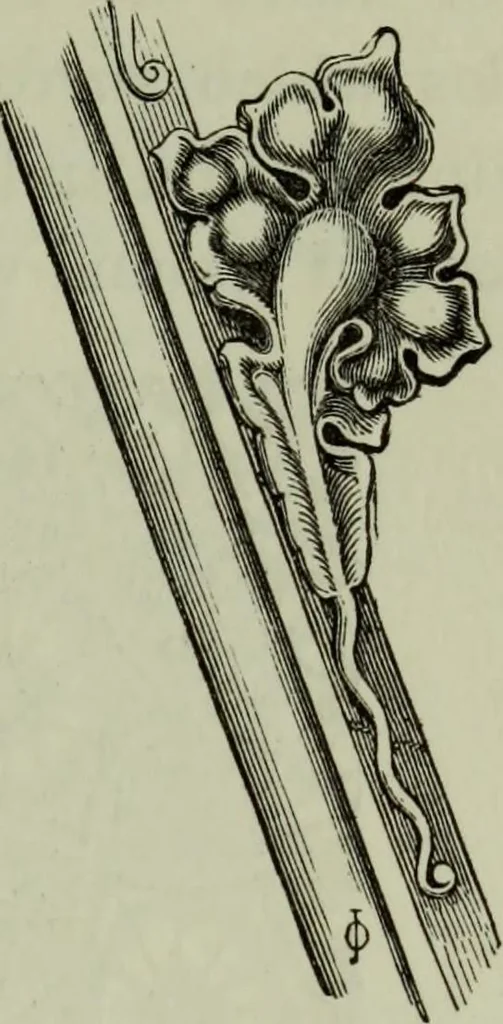 An illustration from The principles of Gothic ecclesiastical architecture : with an explanation of technical terms and a centenary of ancient terms ..., 1882, leaf 246