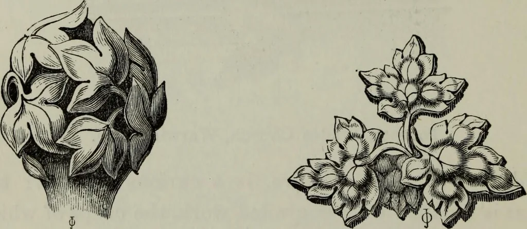 An illustration from The principles of Gothic ecclesiastical architecture : with an explanation of technical terms and a centenary of ancient terms ..., 1882, leaf 249