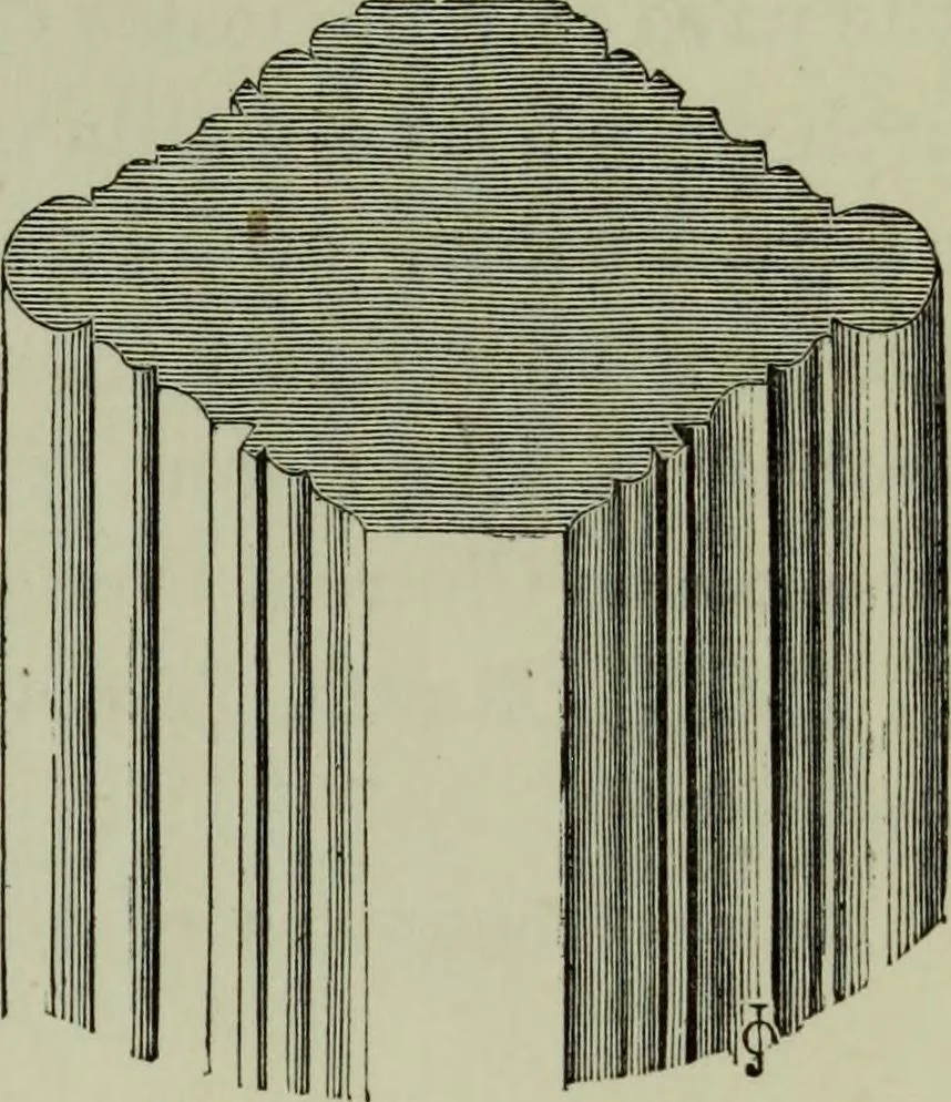 An illustration from The principles of Gothic ecclesiastical architecture : with an explanation of technical terms and a centenary of ancient terms ..., 1882, leaf 260