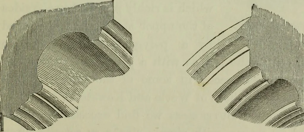An illustration from The principles of Gothic ecclesiastical architecture : with an explanation of technical terms and a centenary of ancient terms ..., 1882, leaf 286