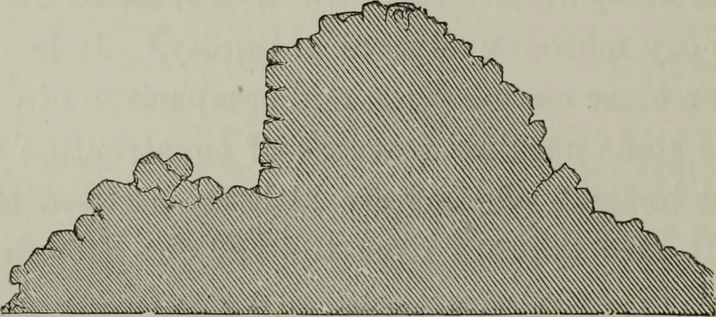 An illustration from The principles of Gothic ecclesiastical architecture : with an explanation of technical terms and a centenary of ancient terms ..., 1882, leaf 59