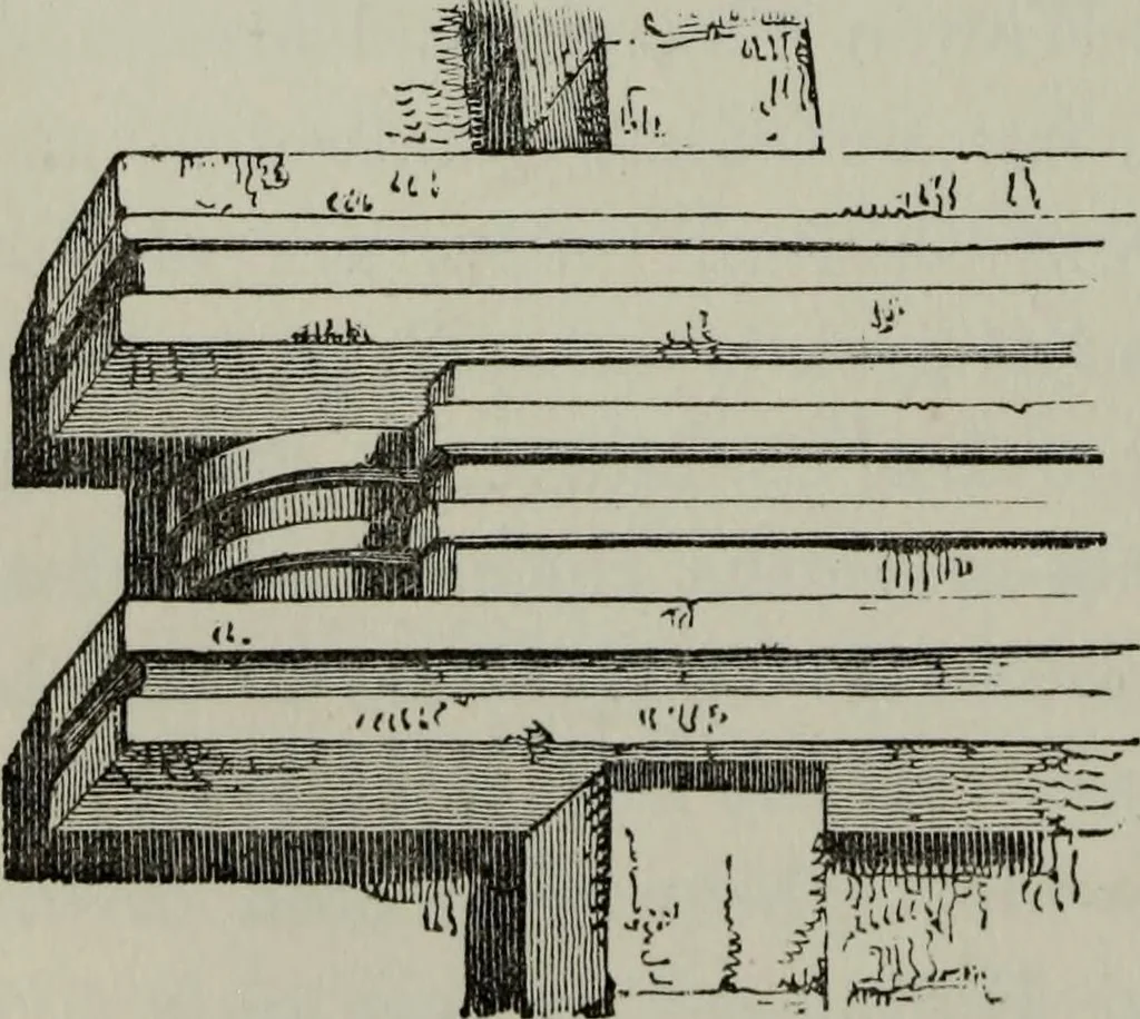 An illustration from The principles of Gothic ecclesiastical architecture : with an explanation of technical terms and a centenary of ancient terms ..., 1882, leaf 85