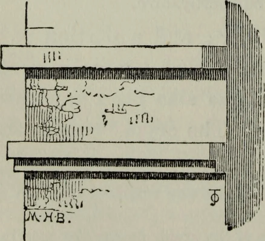 An illustration from The principles of Gothic ecclesiastical architecture : with an explanation of technical terms and a centenary of ancient terms ..., 1882, leaf 89