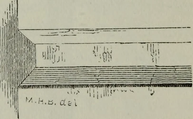 An illustration from The principles of Gothic ecclesiastical architecture : with an explanation of technical terms and a centenary of ancient terms ..., 1882, leaf 127