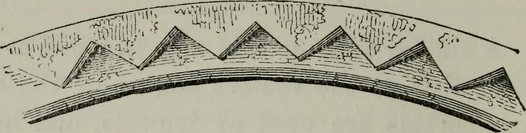 An illustration from The principles of Gothic ecclesiastical architecture : with an explanation of technical terms and a centenary of ancient terms ..., 1882, leaf 147
