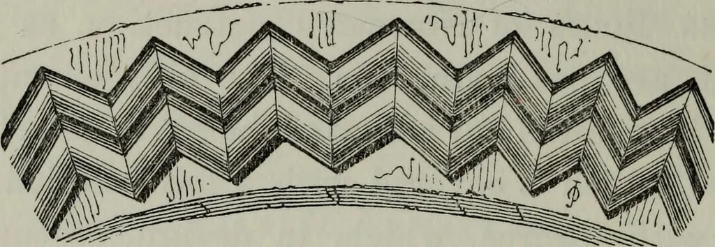 An illustration from The principles of Gothic ecclesiastical architecture : with an explanation of technical terms and a centenary of ancient terms ..., 1882, leaf 147