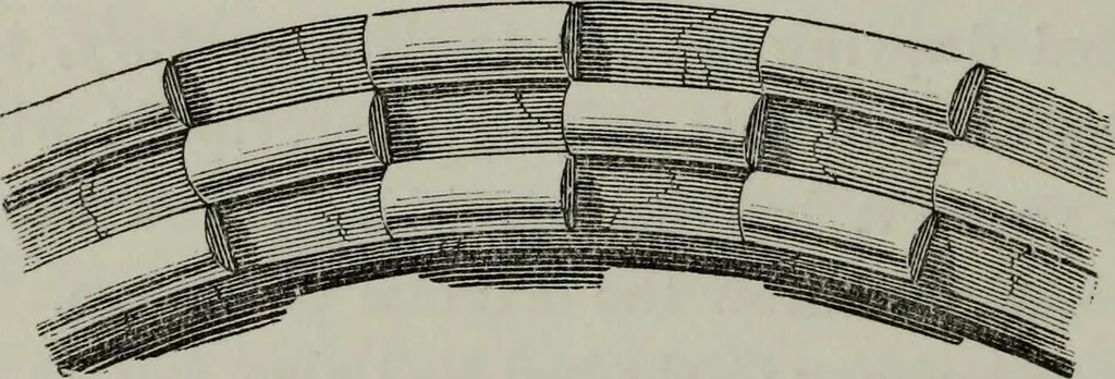 An illustration from The principles of Gothic ecclesiastical architecture : with an explanation of technical terms and a centenary of ancient terms ..., 1882, leaf 147