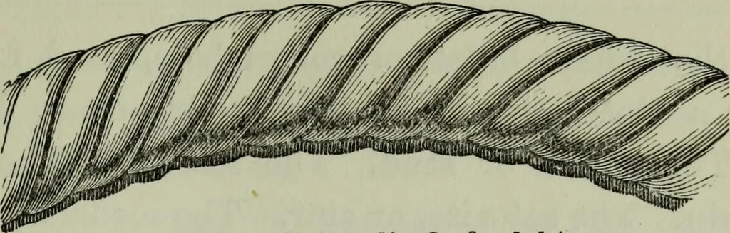 An illustration from The principles of Gothic ecclesiastical architecture : with an explanation of technical terms and a centenary of ancient terms ..., 1882, leaf 148