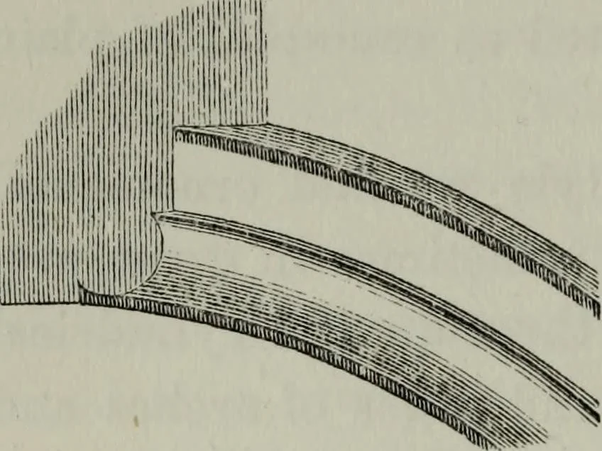 An illustration from The principles of Gothic ecclesiastical architecture : with an explanation of technical terms and a centenary of ancient terms ..., 1882, leaf 151