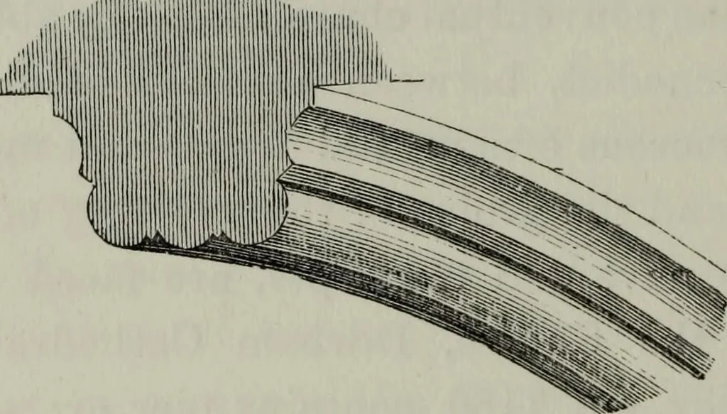 An illustration from The principles of Gothic ecclesiastical architecture : with an explanation of technical terms and a centenary of ancient terms ..., 1882, leaf 151