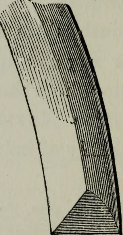 An illustration from The principles of Gothic ecclesiastical architecture : with an explanation of technical terms and a centenary of ancient terms ..., 1882, leaf 193