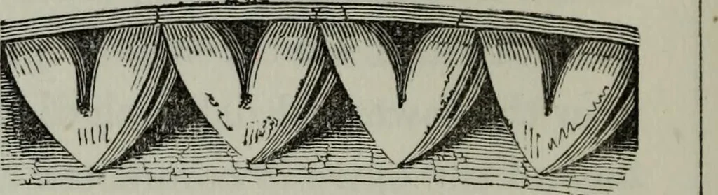 An illustration from The principles of Gothic ecclesiastical architecture : with an explanation of technical terms and a centenary of ancient terms ..., 1882, leaf 203