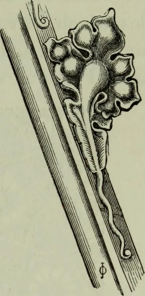 An illustration from The principles of Gothic ecclesiastical architecture : with an explanation of technical terms and a centenary of ancient terms ..., 1882, leaf 246