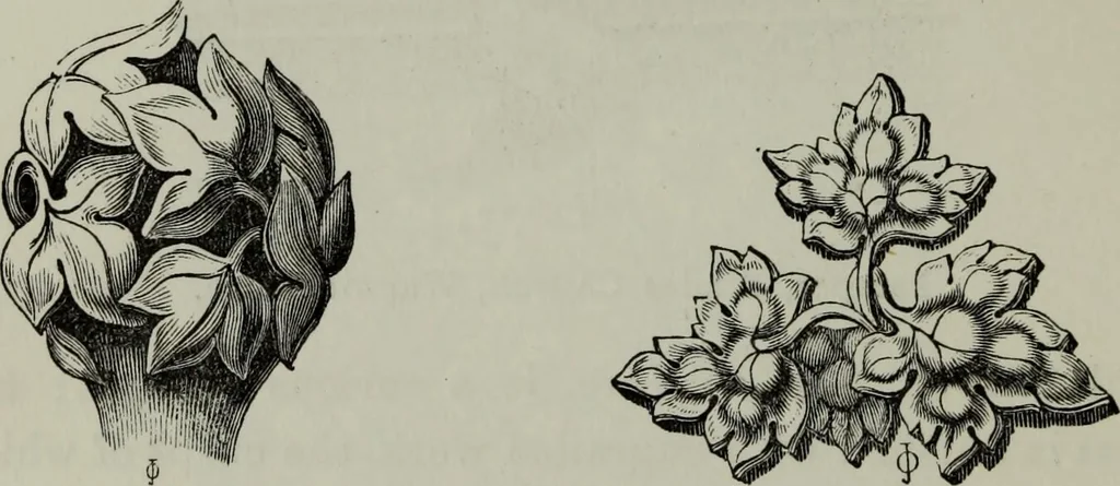 An illustration from The principles of Gothic ecclesiastical architecture : with an explanation of technical terms and a centenary of ancient terms ..., 1882, leaf 249