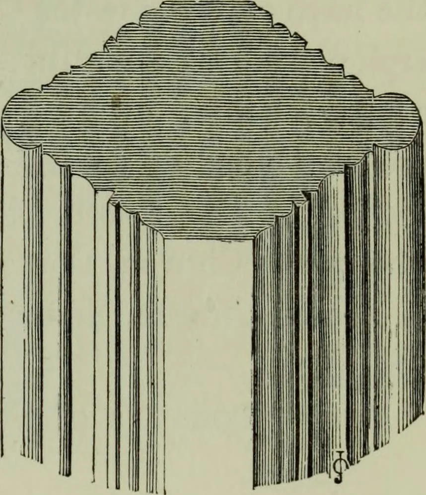 An illustration from The principles of Gothic ecclesiastical architecture : with an explanation of technical terms and a centenary of ancient terms ..., 1882, leaf 260