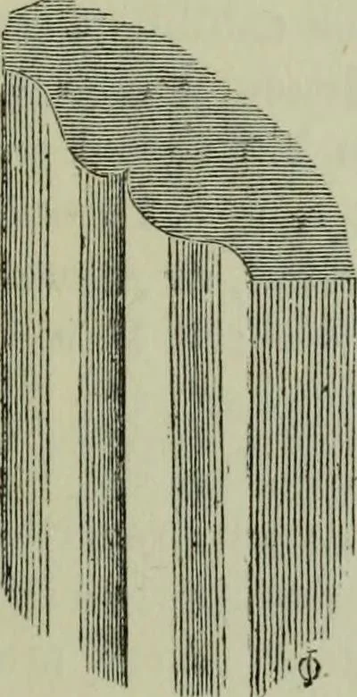 An illustration from The principles of Gothic ecclesiastical architecture : with an explanation of technical terms and a centenary of ancient terms ..., 1882, leaf 284