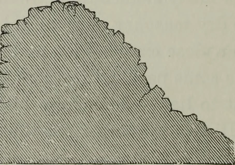 An illustration from The principles of Gothic ecclesiastical architecture : with an explanation of technical terms and a centenary of ancient terms ..., 1882, leaf 59