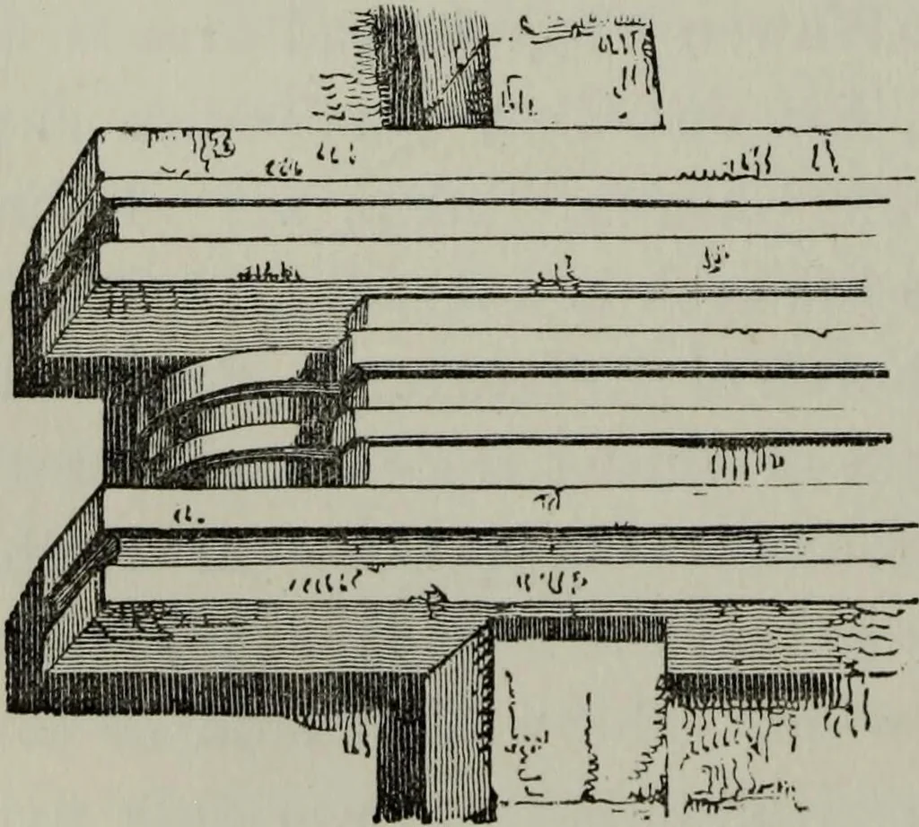 An illustration from The principles of Gothic ecclesiastical architecture : with an explanation of technical terms and a centenary of ancient terms ..., 1882, leaf 85