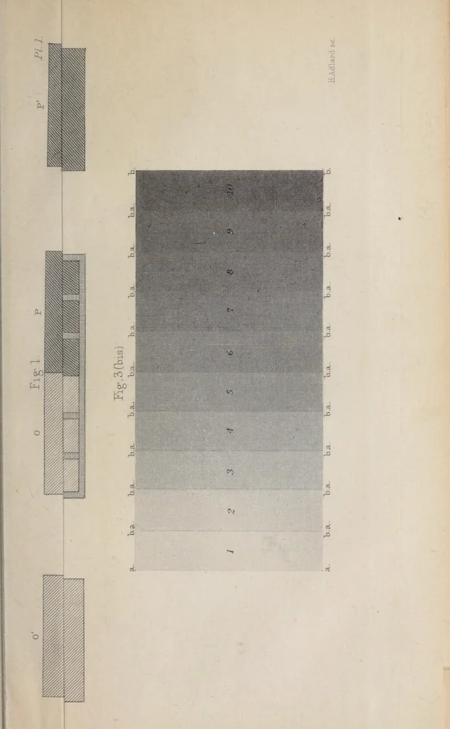 An illustration from The principles of harmony and contrast of colours, and their applications to the arts: including painting, interior decoration, tapestries, carpets, mosaics, coloured glazing, paper-staining, calico-printing, letterpress printing, map-colouring, dress, landscape and flower gardening, etc, 1890, leaf 521