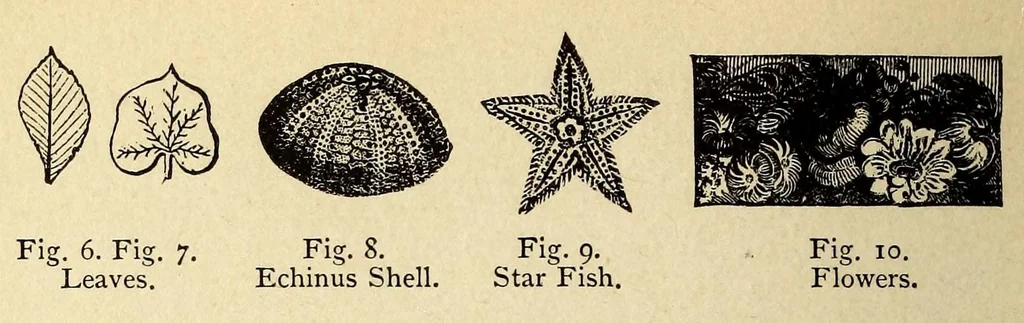 An illustration from The principles of light and color: including among other things the harmonic laws of the universe, the etherio-atomic philosophy of force, chromo chemistry, chromo therapeutics, and the general philosophy of the fine forces, together with numerous discoveries and practical applications .., 1878, leaf 24