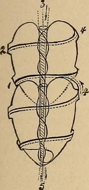 An illustration from The principles of light and color : including among other things the harmonic laws of the universe, the etherio-atomic philosophy of force, chromo chemistry, chromo therapeutics, and the general philosophy of the fine forces, together with numerous discoveries and practical applications. Illustrated by more than two hundred engravings and four colored plates, 1896, leaf 138