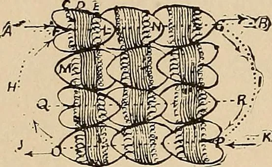 An illustration from The principles of light and color : including among other things the harmonic laws of the universe, the etherio-atomic philosophy of force, chromo chemistry, chromo therapeutics, and the general philosophy of the fine forces, together with numerous discoveries and practical applications. Illustrated by more than two hundred engravings and four colored plates, 1896, leaf 165