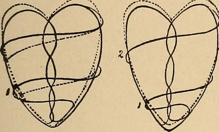 An illustration from The principles of light and color : including among other things the harmonic laws of the universe, the etherio-atomic philosophy of force, chromo chemistry, chromo therapeutics, and the general philosophy of the fine forces, together with numerous discoveries and practical applications. Illustrated by more than two hundred engravings and four colored plates, 1896, leaf 170