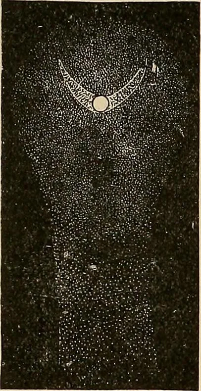 An illustration from The principles of light and color : including among other things the harmonic laws of the universe, the etherio-atomic philosophy of force, chromo chemistry, chromo therapeutics, and the general philosophy of the fine forces, together with numerous discoveries and practical applications. Illustrated by more than two hundred engravings and four colored plates, 1896, leaf 195